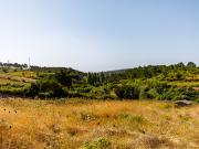 Vende Lote Ericeira 1,5 km, A Casa das Casas