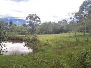 Vende Lote Sabana Alta, Villa deLeyva