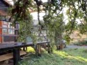 Vende Parcela de 6.000 M2 con Casa Huelmo a 5 minutos de...
