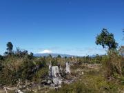 Vende parcela en Condominio Altos de Neo alerce, Puerto...