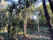 Vende parcela en Condominio Valle del Río, Chamiza, Pto....