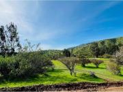 Vende parcelas de 5.000 mt2, con rol propio, en...