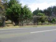 Vende Predio de 13 Hectáreas Sector El Tepual, orilla...