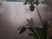 Vende se apartamento 1/4 edf. Tani centro salvador bahia