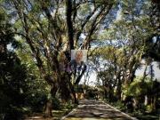 Vende se Casa no Cond. Villa Vianna 3 suítes,...