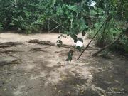 Vende se chácara para fins residencial ou comercial, rua...