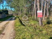 VENDE SE com a área de 1905 m2, com 51,50 m2 de frente,...