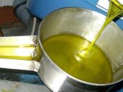 Vende se LAGAR DE AZEITE em Castelo Branco, Portugal