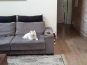 Ð¡Vende se ou Aluga se Casa Completa e Sofisticada em...