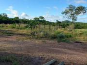 Vende se propriedade rural município de Francisco Sá