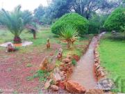 Vende se Quinta em Santa Margarida