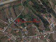 Vende se TERRENO 2000 m2 arredores do centro de Leiria
