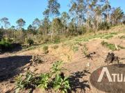 VENDE SE TERRENO 330M² OTIMA TOPOGRAFIA TERRA PRETA...