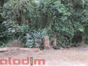 VENDE SE TERRENO NO JARDIM SANTO HUMBERTUS