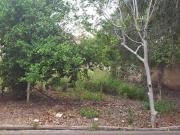 Vende se terreno no Jardim Stabile!