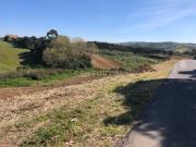 Vende se Terreno Rustico Em Vale Medo Lourinhã