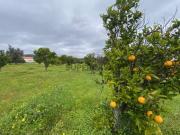 VENDE SE TERRENO RÚSTICO PLANO EM ODIÁXERE ALGARVE