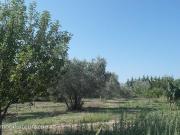 Terreno in vendita a Orvieto