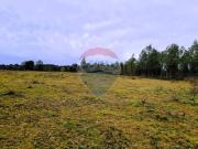VENDE TERRENO AGRÍCOLA O PROYECTO ECOTURÍSTICO