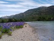 VENDE terreno de 18 ha a 20 minutos de Cochrane, Aysén