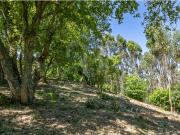 Vende Terreno Ericeira 15 Km, A Casa das Casas