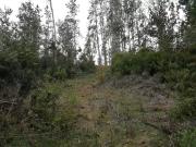 VENDE terreno listo para construir en el Batro, Quintay!