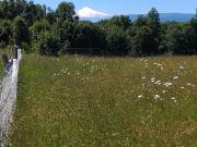 VENDE TERRENO UBICADO A 12 km. DE VILLARICA