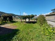 VENDEMOS AMPLIO TERRENO CON CASA EN MEHUIN