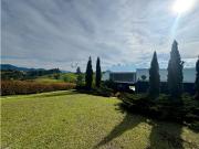 VENDEMOS FINCA INDEPENDIENTE SECTOR SAN ANTONIO DE...