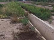 Vendemos lote en maipu