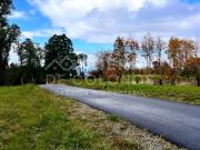 Vendemos Parcela con hermoso bosque nativo Punta Larga