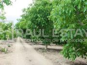 VENDEMOS Parcelas en sector de Talhuen