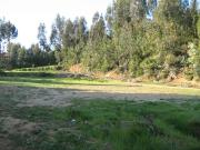 Vendemos Terreno 10.000 mt2 Fundo las Mercedes en...