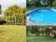 Vendemos terreno con piscina y jardines en Curimón