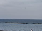 Vendesi appartamento a Levante, Cesenatico