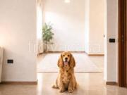 Vendesi appartamento a Sassari, Luna e Sole Prunizzedda