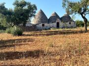 Vendesi bel complesso di trulli e lamie 50m² Martina Franca