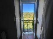 Vendesi bilocale a Piansano via Umberto I