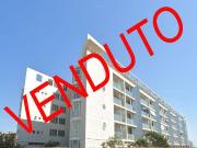 Vendesi bilocale a Roma, Ostia Ponente