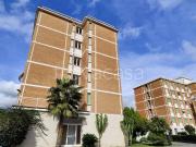 Vendesi bilocale a San Bartolomeo, San Bartolomeo al Mare