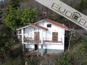 Vendesi casa indipendente a Bricherasio strada Cesani...