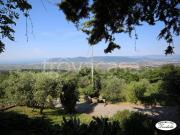 Vendesi casa indipendente a Castelnuovo Magra, Molicciara