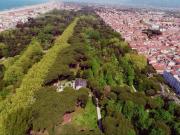 Vendesi casa indipendente a Viareggio
