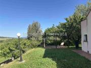 Vendesi casale a Campagnatico, Campagnatico