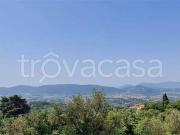 Vendesi casale a Fosdinovo