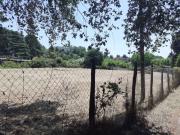 Vendesi od affittasi terreno agricolo