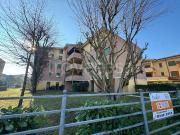 Vendesi quadrilocale a Concordia sulla Secchia piazza...