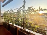 Vendesi quadrilocale a Milano, Argonne Corsica