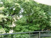 Vendesi quadrilocale a Milano corso di Porta Romana,...