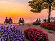 Vendesi rustico a Bardolino